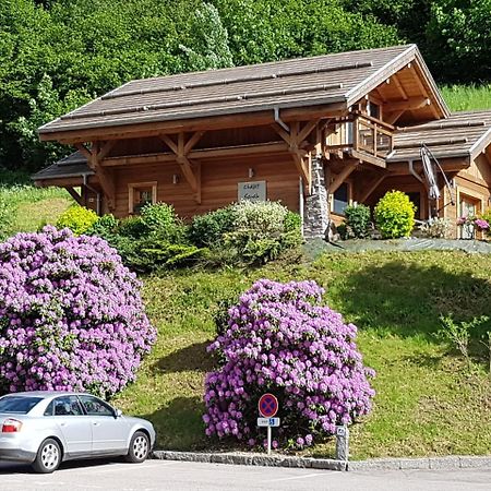 Les Chalets Des Chatelmines La Bresse Dış mekan fotoğraf