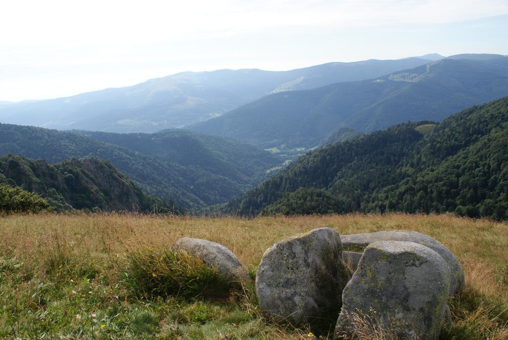 Les Chalets Des Chatelmines La Bresse Dış mekan fotoğraf